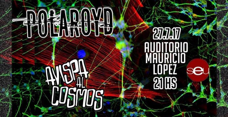 Recital de Polaroyd y Avispa al Cosmos