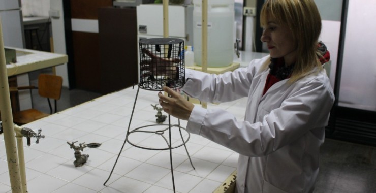 La UNSL pagará la totalidad de los subsidios a los proyectos de investigación 2018