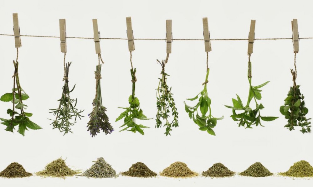 Producción y puesta en valor de plantas aromáticas y medicinales