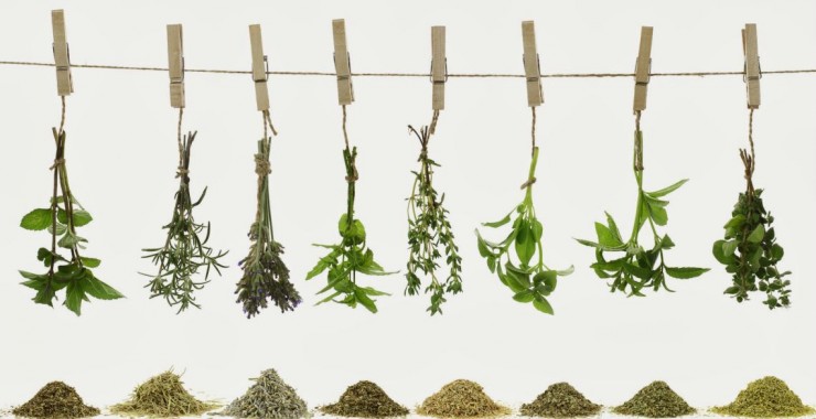 Producción y puesta en valor de plantas aromáticas y medicinales