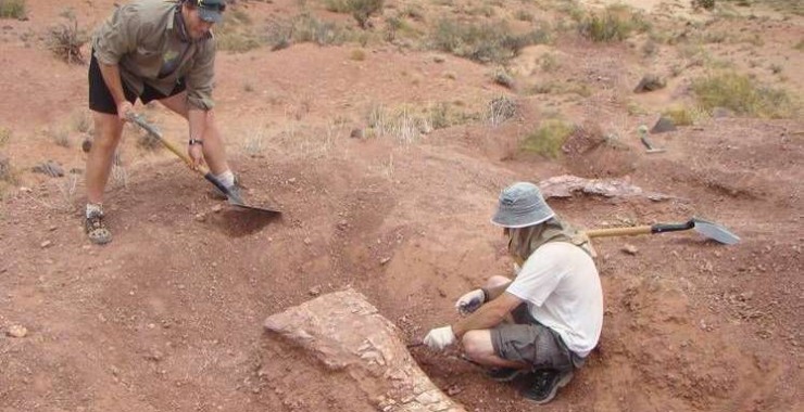 Profesionales vinculados a la paleontología se reúnen en la UNSL