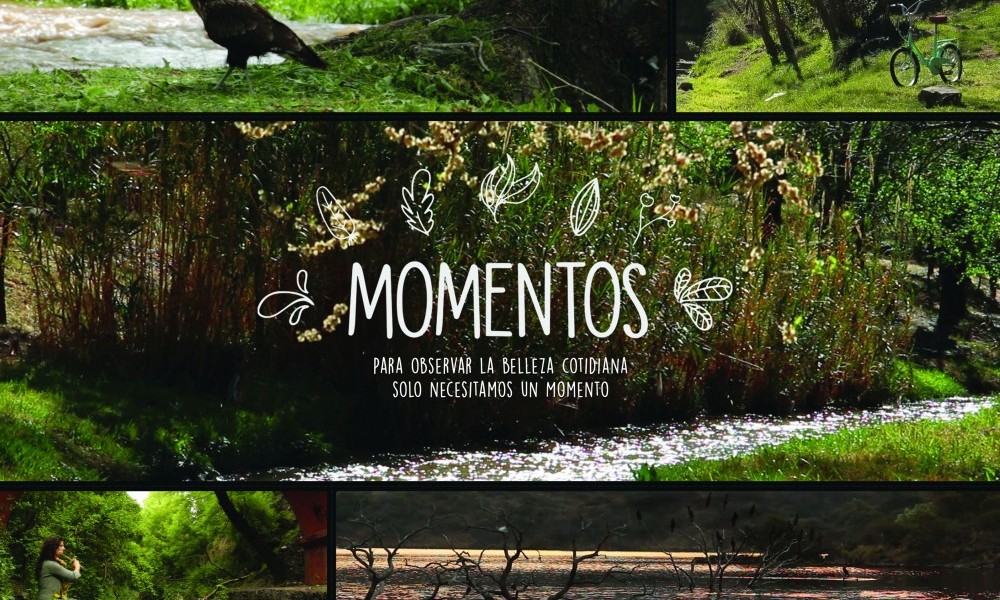 «Momentos» nominado en el Festival y Mercado de TV Internacional