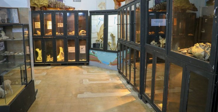 Estrechan vínculos con el Museo Paleontológico Legado del Salado