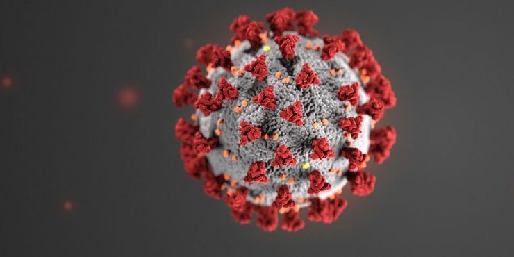Científica disertará sobre Coronavirus