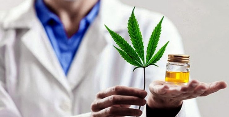 Realizarán el primer Congreso Integral de Cannabis Medicinal