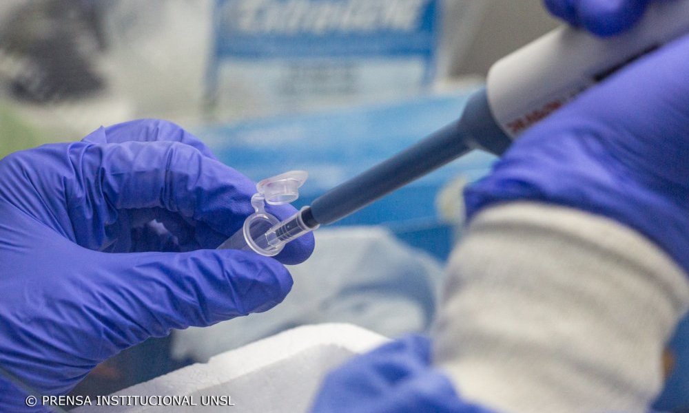 Investigadores de la UNSL desarrollan PCR para detectar la variante DELTA