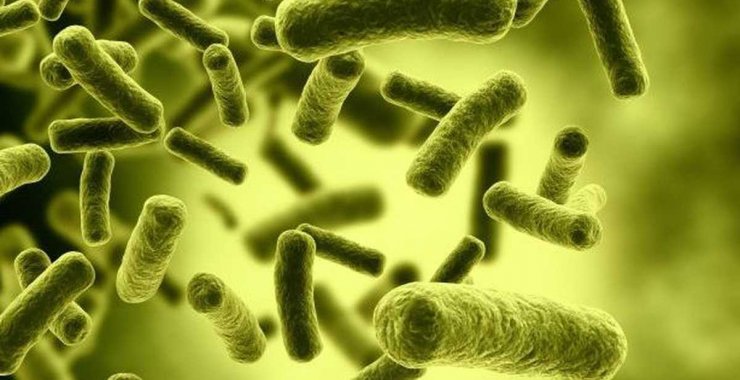 Jornada científica sobre Brucelosis y Tuberculosis