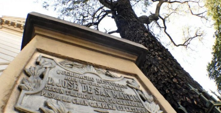Declaran patrimonio cultural al “Quebracho Histórico”
