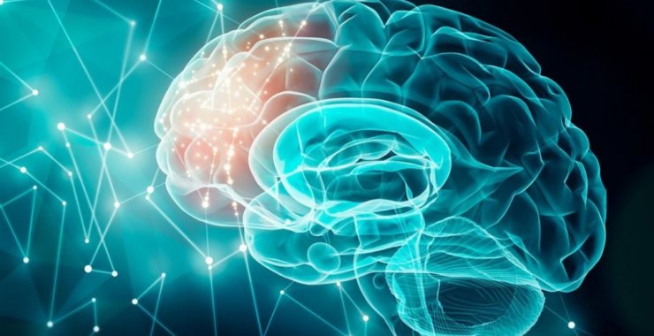 La Sociedad Argentina de Neurociencias se reunirá en la UNSL