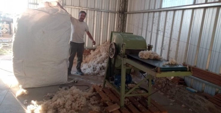 Crean estrategias comerciales para una empresa que reutiliza lana de oveja