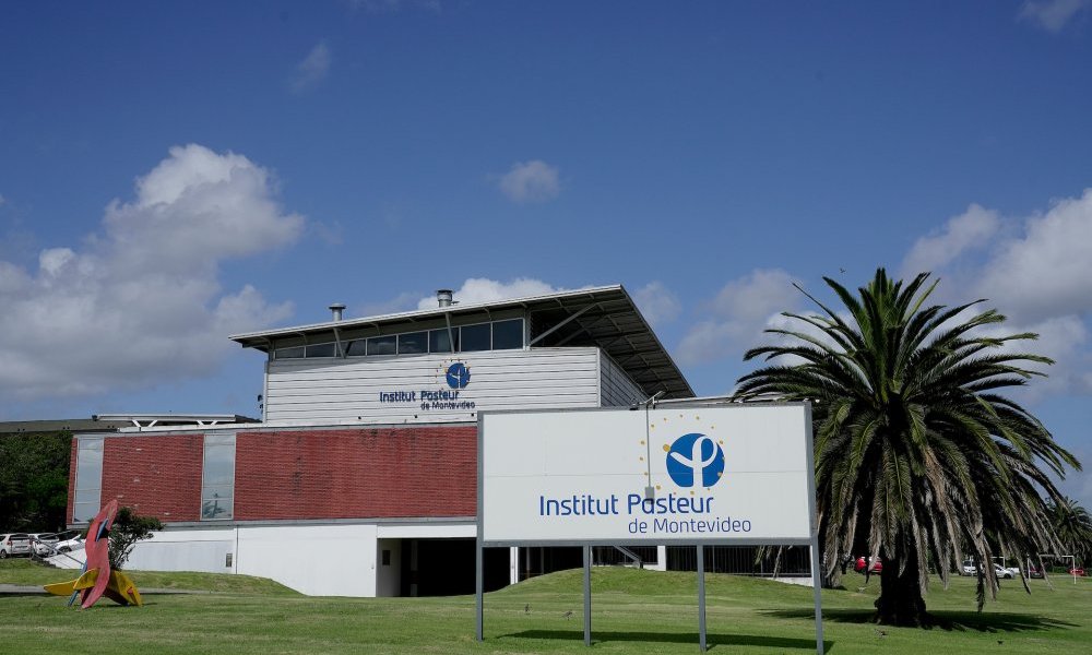 Becas para estudiantes de posgrado en el Institut Pasteur de Montevideo