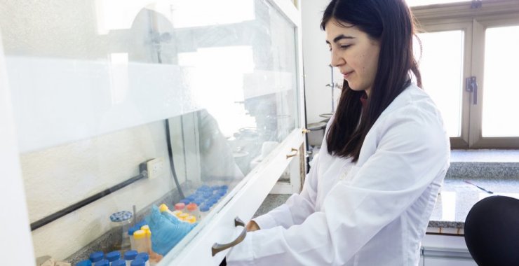 Estudian la deficiencia del zinc, un mineral esencial para la salud humana