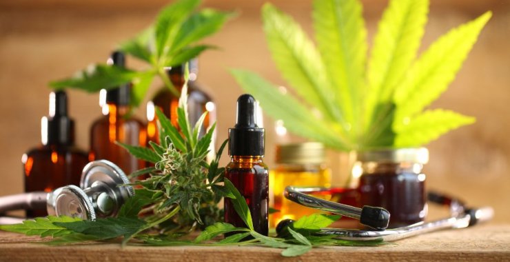 Inscriben a la Diplomatura en Cannabis Sativa y Gestión de la Salud Integral