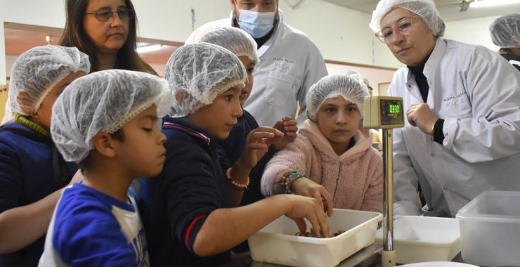 Escuela rural de San Luis elabora barras de cereales con formulación de la UNSL