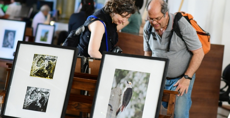 Exponen «Cien aves de San Luis» en el Antiguo Templo de Santo Domingo