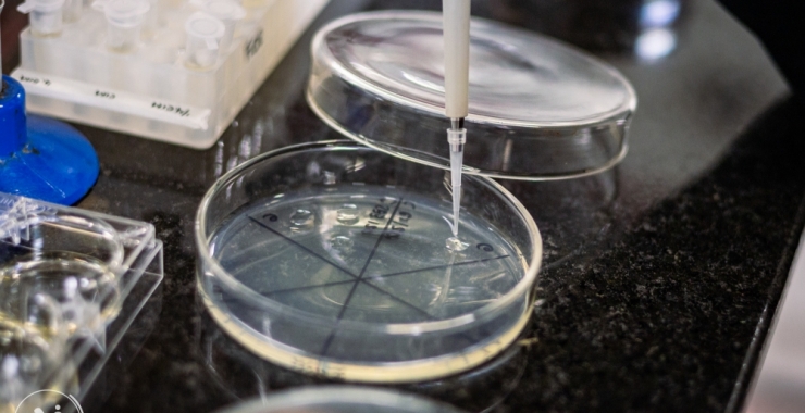 Brasil financia proyectos científicos regionales