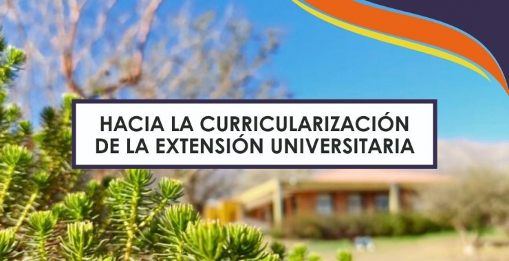 Hacia la Curricularización de la Extensión en Villa de Merlo y Villa Mercedes
