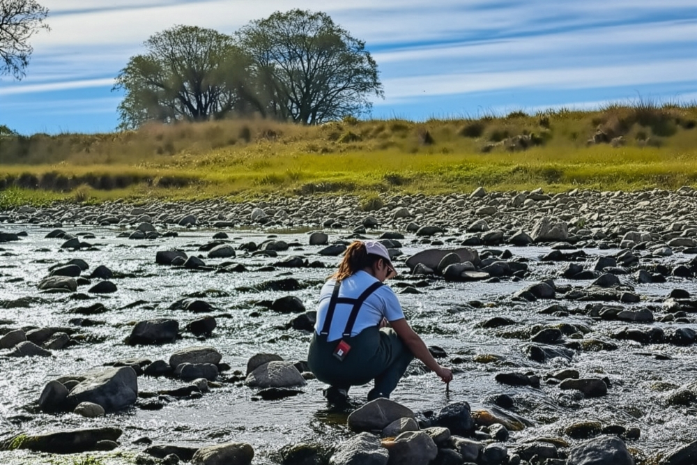 Evalúan el impacto real de los embalses en la calidad del agua y en la biodiversidad de San Luis