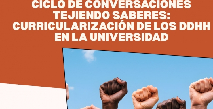Experiencias de curricularización de los Derechos Humanos