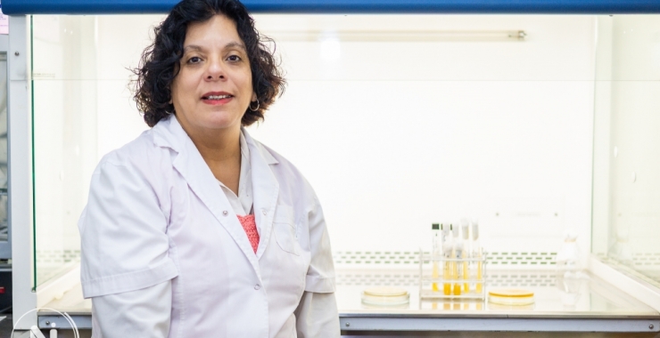Estudian los beneficios del empleo de bacterias lácticas en alimentos y salud
