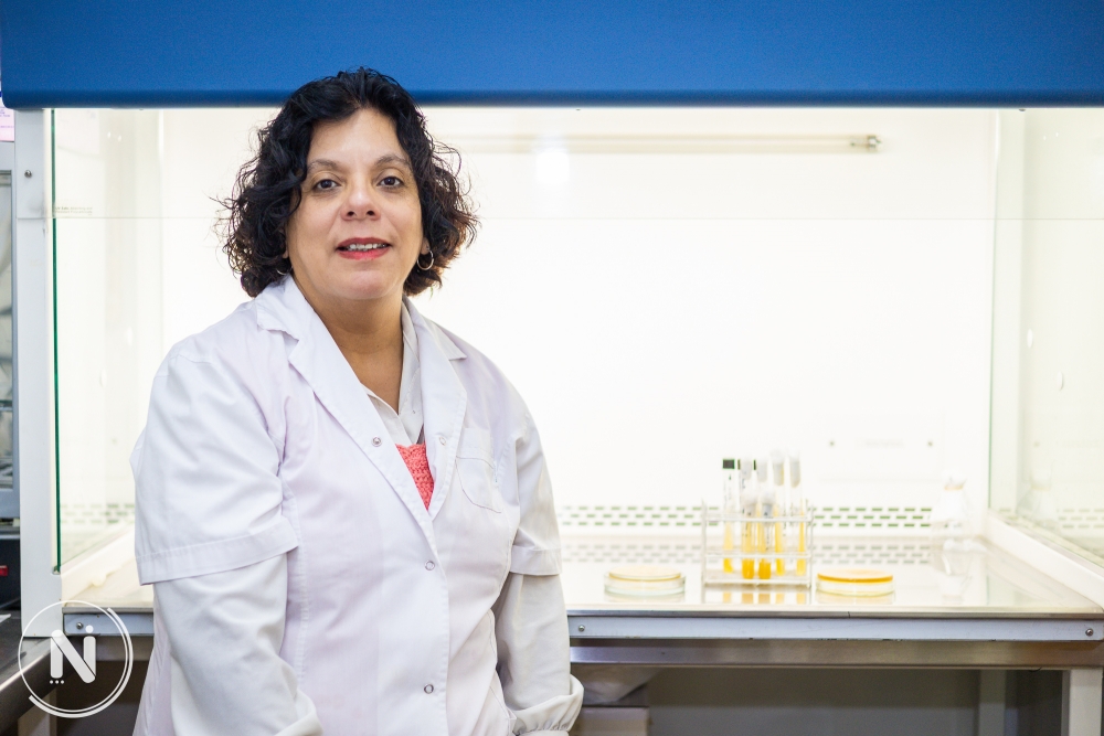 Estudian los beneficios del empleo de bacterias lácticas en alimentos y salud