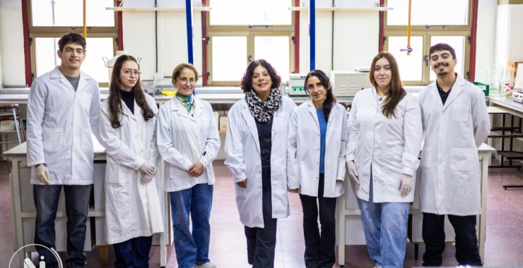 ¿Qué son las bacterias lácticas y cuál es su importancia para la salud?