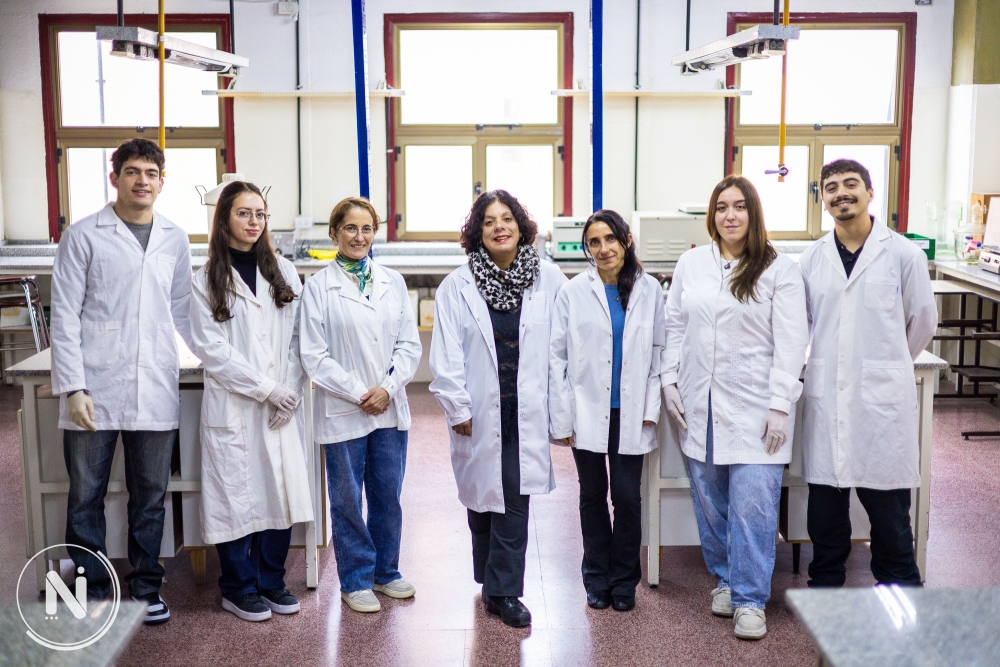 Imagen relacionada con ¿Qué son las bacterias lácticas y cuál es su importancia para la salud?