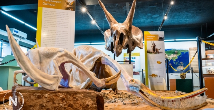 La ciencia al alcance de toda la sociedad: reabrió sus puertas el Museo Interactivo «Contacto»